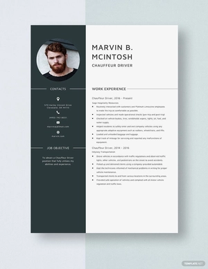 Chauffeur Driver Resume