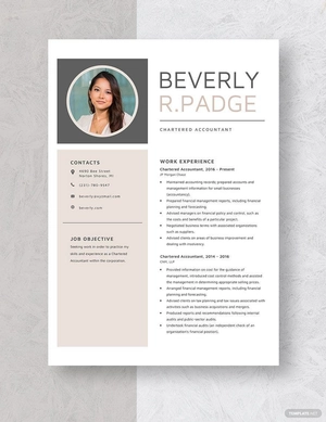 Chartered Accountant Resume