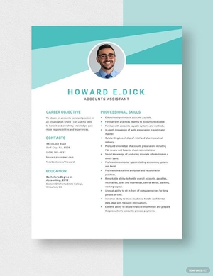 Accounts Assistant Resume
