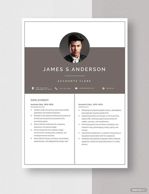 Accounts Clerk Resume