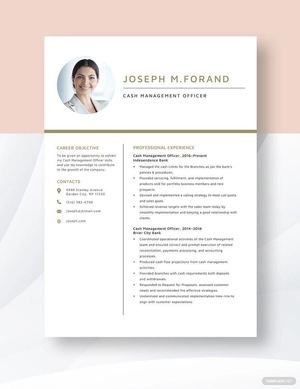 Cash Management Officer Resume