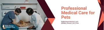 Free Veterinarian Clinic Billboard Template to Edit Online