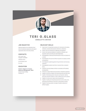 Ambulette Driver Resume