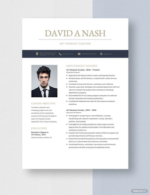 Art Museum Curator Resume