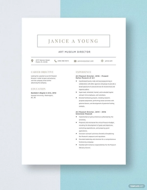 Art Museum Director Resume