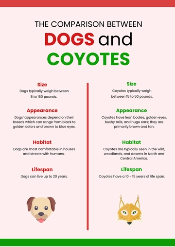 Free Comparison Infographic Template to Edit Online
