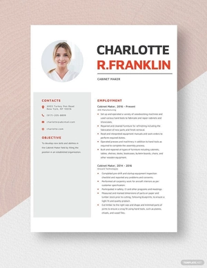 Cabinet Marker Resume