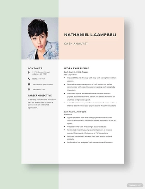 Cash Analyst Resume