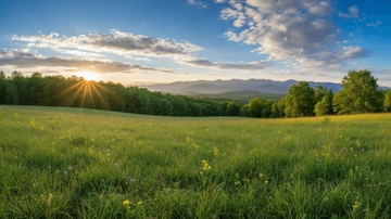Free Nature Grass Background Template to Edit Online