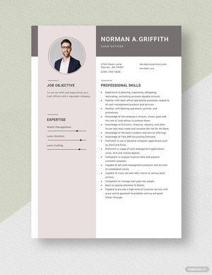 Cash Officer Resume