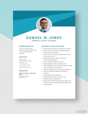 Chemical Patent Attorney Resume