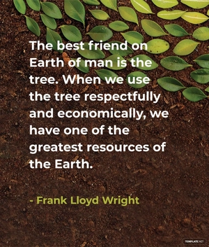 Arbor Day Quote Template