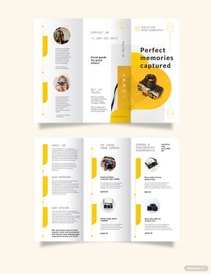 Sales Tri-Fold Brochure Template