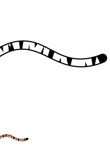 Free Tiger Tail Coloring Page Template to Edit Online