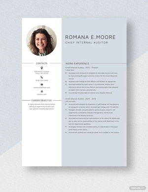 Chief Internal Auditor Resume
