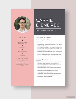 Chief Learning Officer Resume