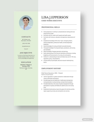 Chief Nurse Executive Resume
