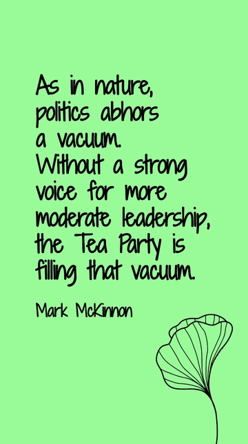 Mark McKinnon: Tea Party Fills Leadership Void Quote