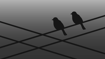 Free Black and Grey Fade Background Template to Edit Online
