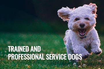Free Service Dog Card Template to Edit Online