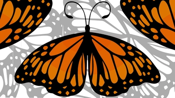 Free Monarch Butterfly Background Template to Edit Online