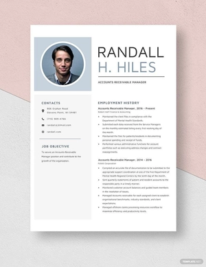 Accounts Receivable Manager Resume