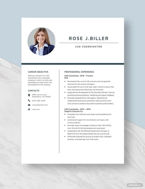 CAD Coordinator Resume