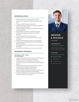 CAD Engineer Resume
