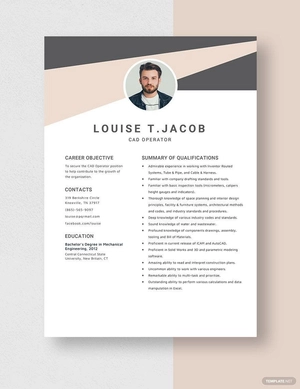 CAD Operator Resume