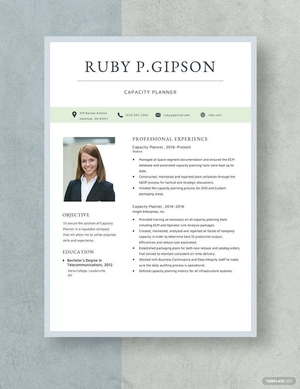 Capacity Planner Resume