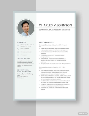 Commercial Sales Account Executive Resume