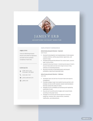 Advertising Account Director Resume
