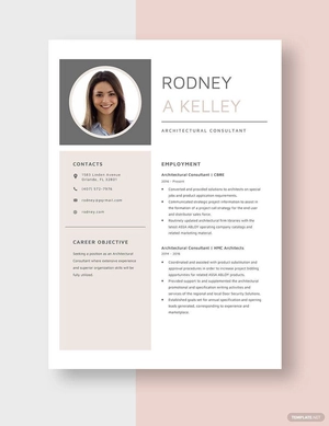 Architectural Consultant Resume