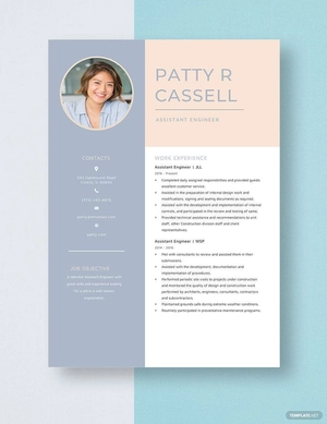 Assistant Engineer Resume