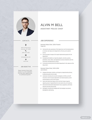 Assistant Police Chief Resume