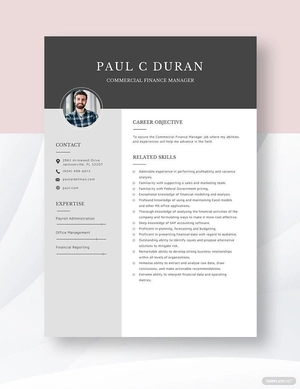 Commercial Finance Manager Resume