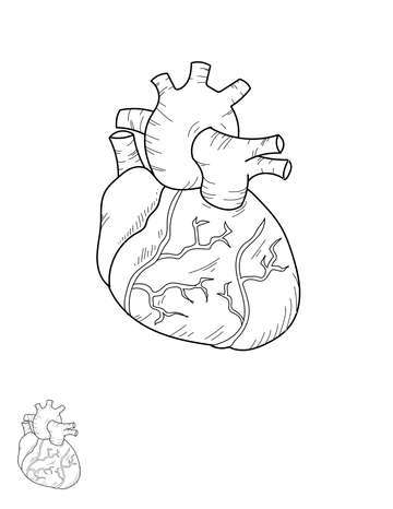 Free Human Heart Coloring Page Template to Edit Online