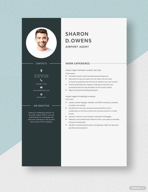 Airport Agent Resume