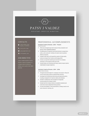 Assistant Creative Director Resume