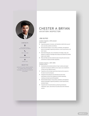 Aviation Inspector Resume
