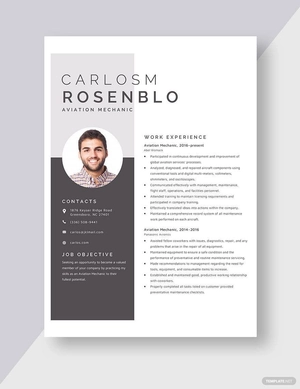 Aviation Mechanic Resume