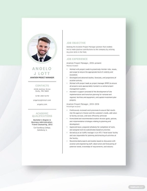 Aviation Project Manager Resume