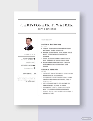 Brand Director Resume