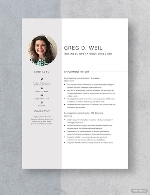 Business Operations Director Resume