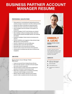 Business Partner Account Manager Resume