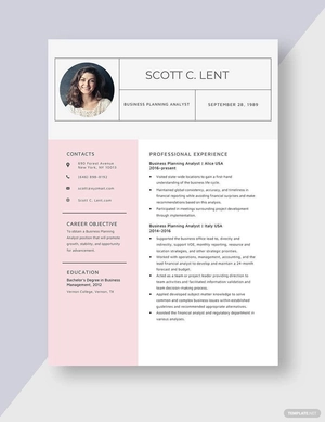 Business Planning Analyst Resume