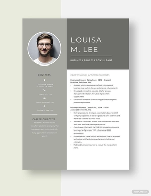 Business Process Consultant Resume