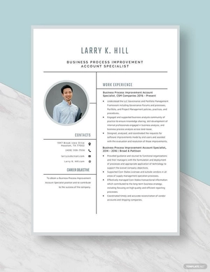 Business Process Improvement Account Specialist Resume