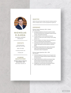 Business Support Specialist Resume