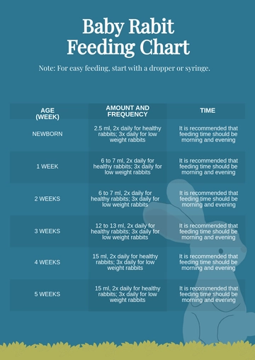 Free Baby Rabbit Feeding Chart Template to Edit Online
